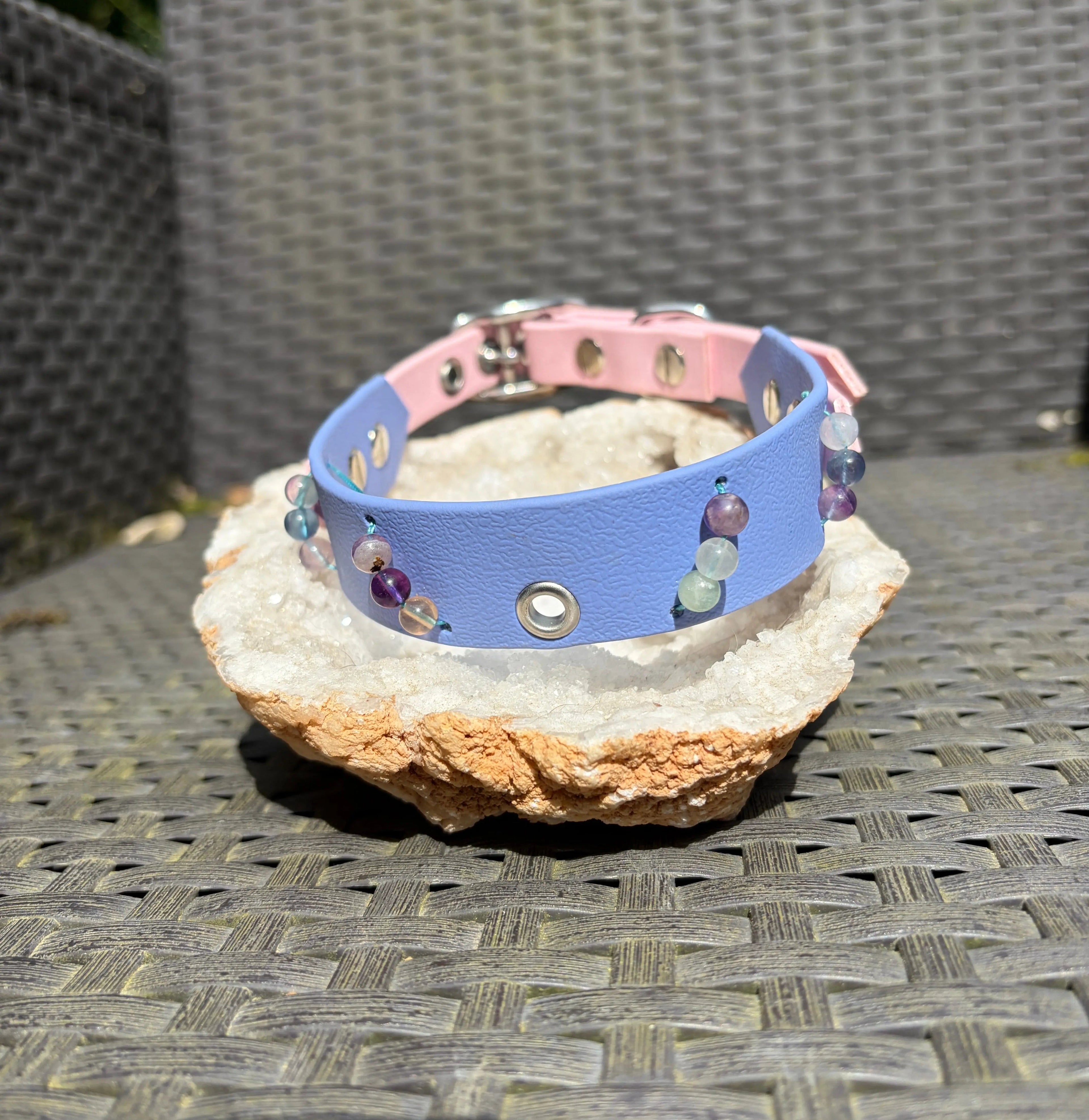 Collier Forget-me-not Toffee's Collar