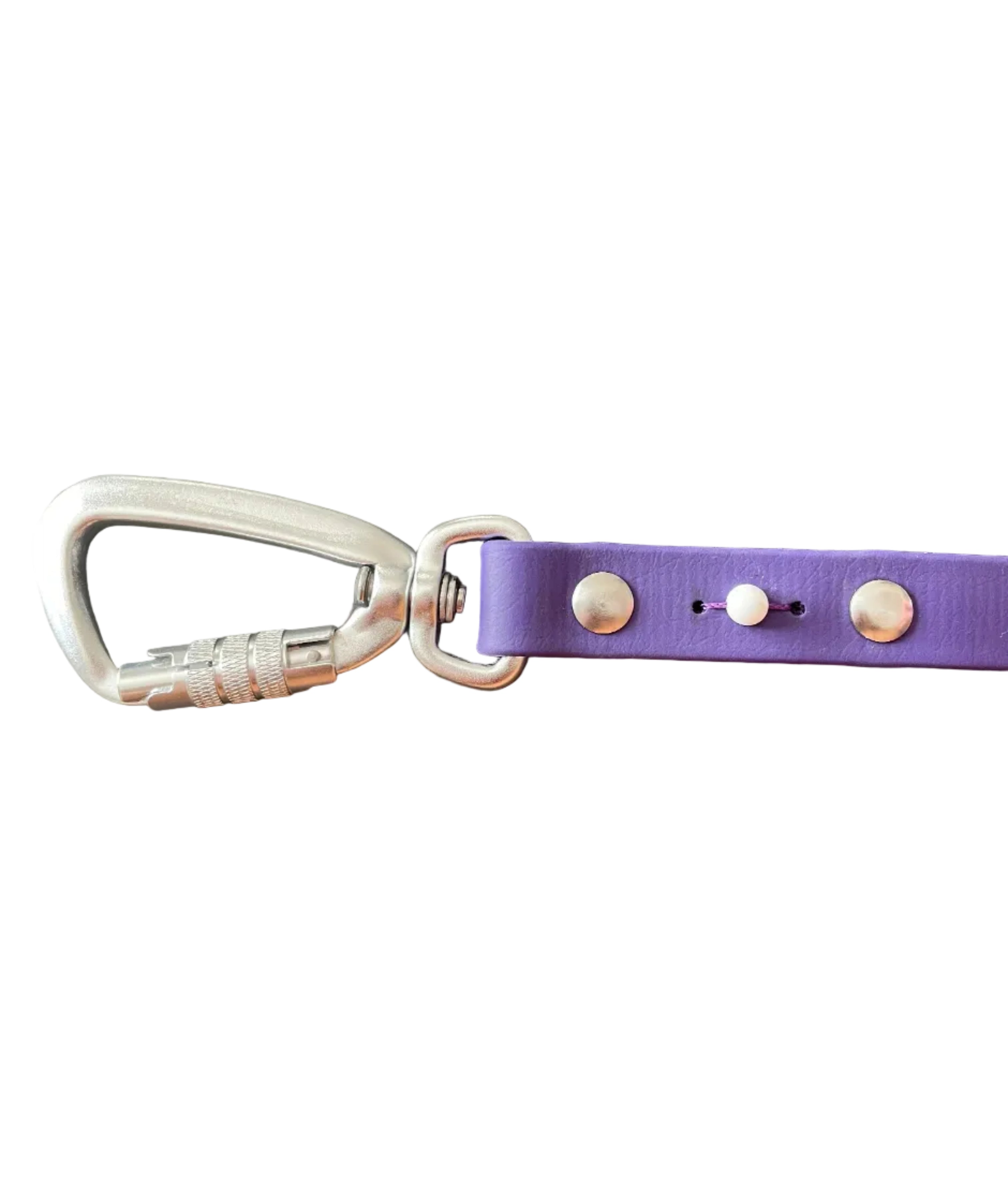 Collier Forget-me-not Toffee's Collar
