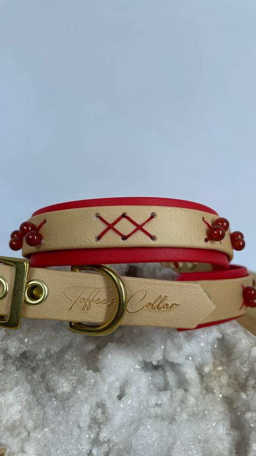 Collier Dandelion Toffee's Collar