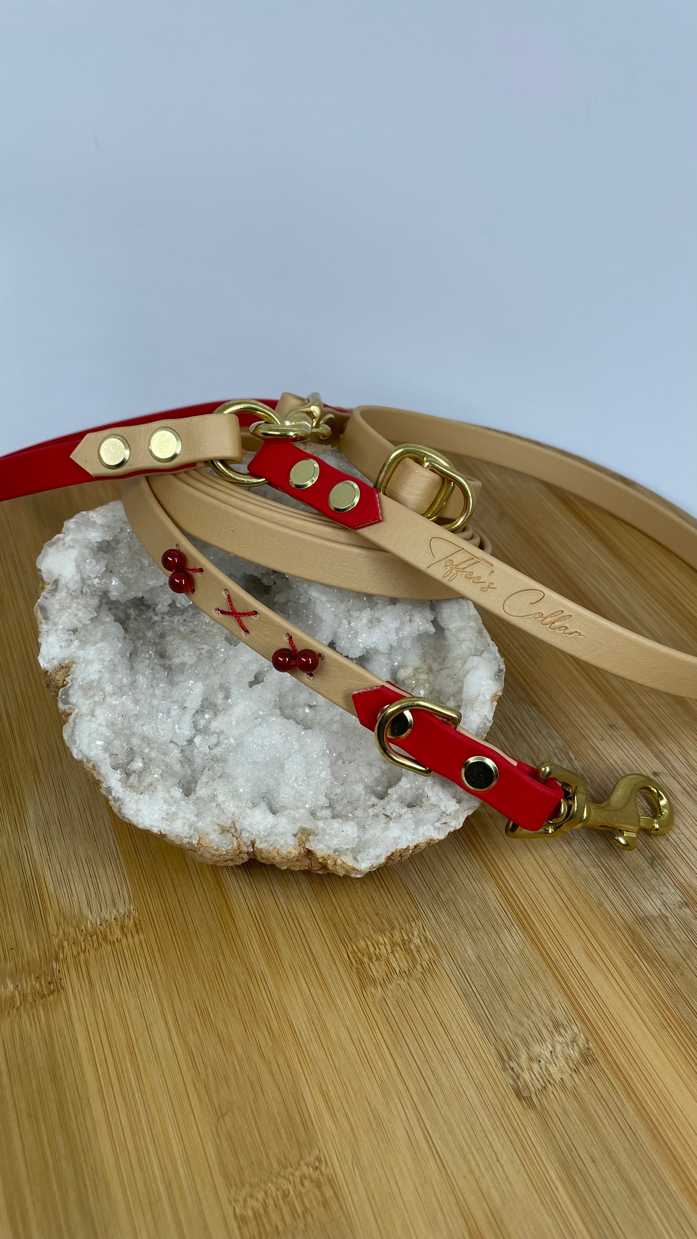 Laisse multi-position Toffee's Collar