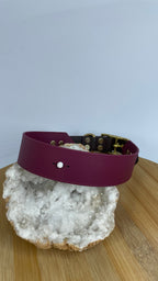 Collier Snowdrop Toffee's Collar