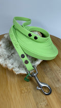 Longe snowdrop Toffee's Collar