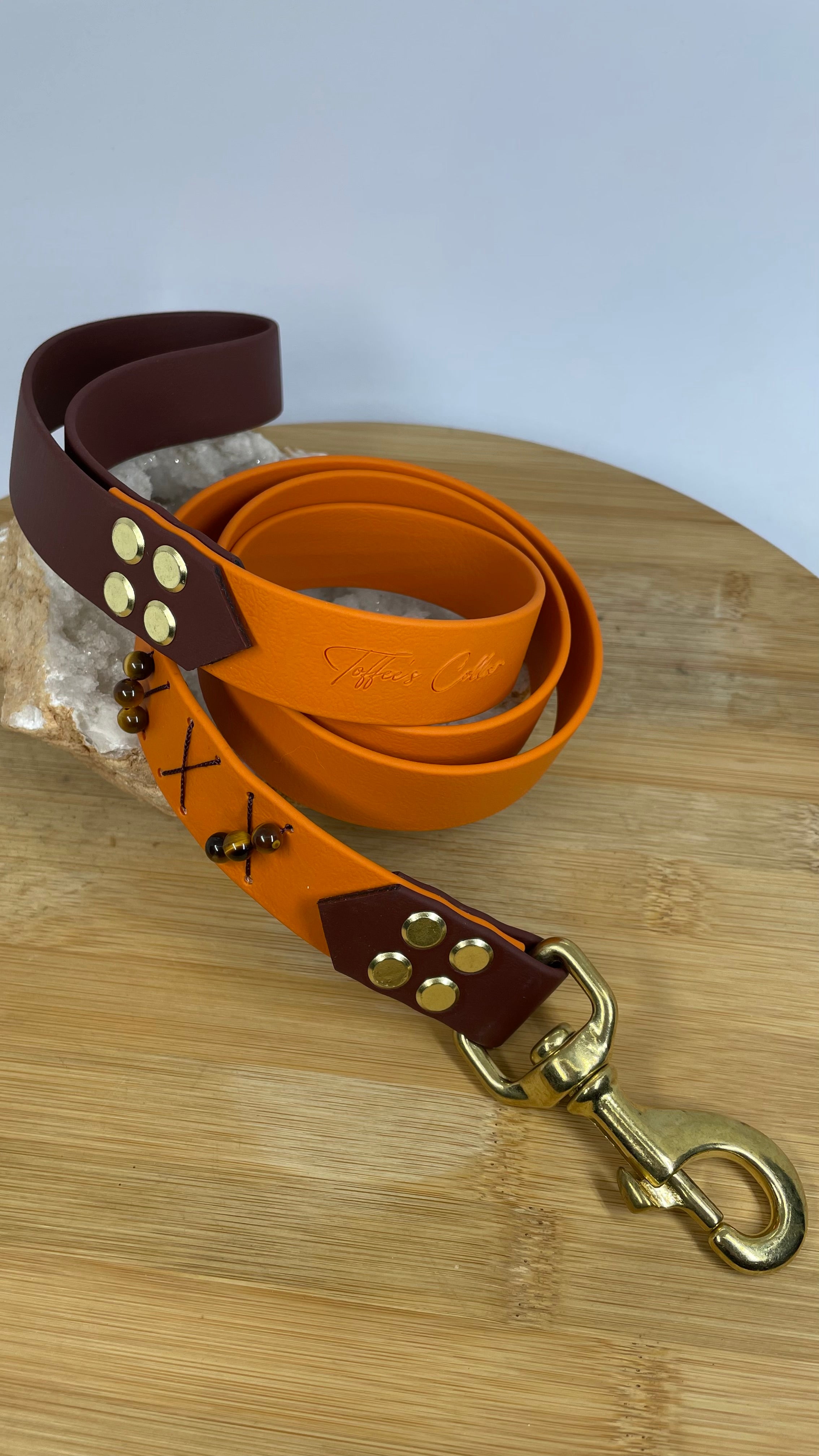 Laisse Toffee's Collar