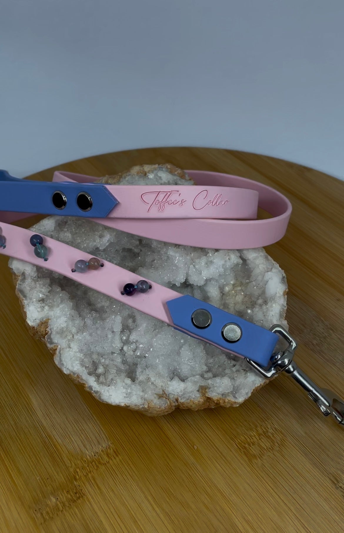 Laisse Toffee's Collar